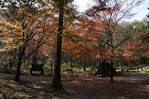 県立伊香保森林公園